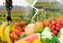 Benefits and Challenges of Diversification in Agribusiness Benefits and Challenges of Diversification in Agribusiness