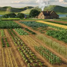 Importance and Steps Involved In Farm Planning