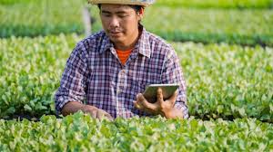 Nature and Scope of Farm Management
