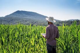 Nature and Scope of Farm Management Nature and Scope of Farm Management