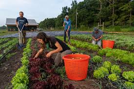 Nature and Structure of Farm Resources