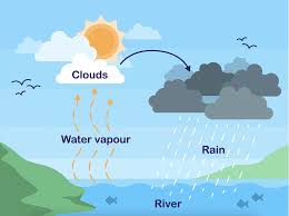 Hydrology and the Water Cycle: Their Importance in Agriculture