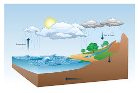 Hydrology and the Water Cycle: Their Importance in Agriculture