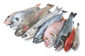 Fish Allergy: Implications for Aquaculture and Food Safety