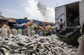 Definition and Scope of Fisheries Environmental Impact Definition and Scope of Fisheries Environmental Impact