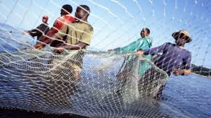 Process and Procedural Framework in Fisheries Environmental Impact Assessment