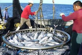 Scoping as an Element in Fisheries Environmental Impact Assessment Scoping as an Element in Fisheries Environmental Impact Assessment