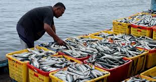 Meaning and Form of Fisheries Enhancement System Meaning and Form of Fisheries Enhancement System
