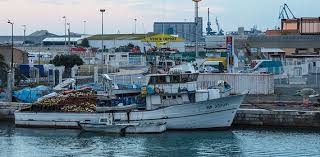 Meaning and Form of Fisheries Enhancement System Meaning and Form of Fisheries Enhancement System
