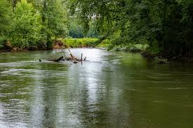 Adaptation of Organisms to Aquatic Life and Evolution Adaptation of Organisms to Aquatic Life and Evolution