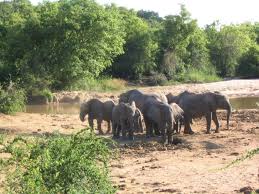 A Guide to Wildlife Management in Nigeria Wildlife Management in Nigeria