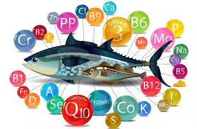 Essential Nutrients for Healthy Fish Essential Nutrients for Healthy Fish