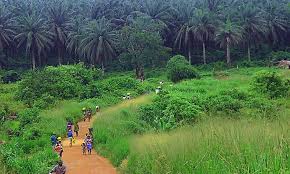 A Guide to Understanding Nigeria Ecosystem