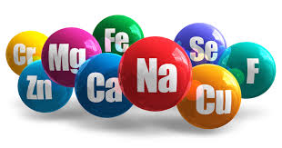 The Role of Minerals in Human Health The Role of Minerals in Human Health