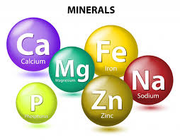 The Role of Minerals in Human Health