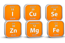 The Role of Minerals in Human Health The Role of Minerals in Human Health