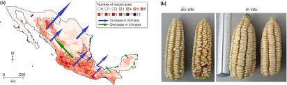 Genetic Erosion in Nigeria: Causes and Consequences in Agricultural Practices Genetic Erosion in Nigeria: Causes and Consequences in Agricultural Practices