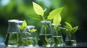 Effect Management of Genetic Erosion and Plant Biotechnology Plant Biotechnology in Agriculture