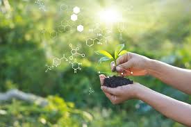Effect Management of Genetic Erosion and Plant Biotechnology Plant Biotechnology in Agriculture