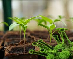 Benefits of Plant Biotechnology in Agriculture Benefits of Plant Biotechnology in Agriculture