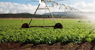 Benefits of Plant Biotechnology in Agriculture Benefits of Plant Biotechnology in Agriculture