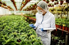 Benefits of Plant Biotechnology in Agriculture Benefits of Plant Biotechnology in Agriculture
