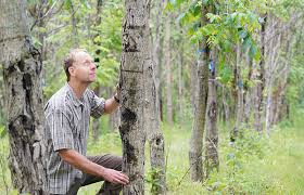 Importance and Strategies in Forest Biotechnology and Conservation Importance and Strategies in Forest Biotechnology and Conservation