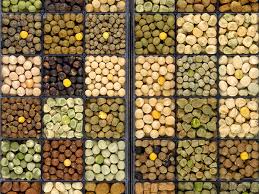 Germplasm Appropriation: A Growing Concern in Farming Germplasm Appropriation in Agriculture