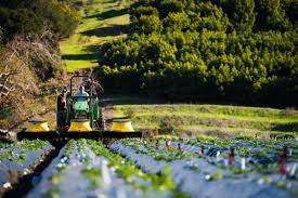 Bio-resource Management in Agriculture