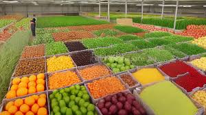The Concept of Retailing and Wholesaling of Agricultural Products Concept of Retailing and Wholesaling of Agricultural Products