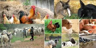 Principle of Microeconomics and Macroeconomics in Agriculture Principle of Microeconomics and Macroeconomics in Agriculture