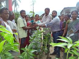 Approaches to Biodiversity Management Approaches to Biodiversity Management