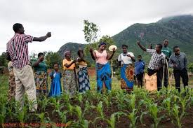 Goals and Functions of Agricultural Extension