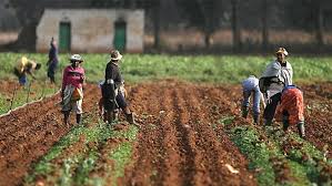 Goals and Functions of Agricultural Extension Goals and Functions of Agricultural Extension