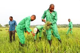 The Scope and Objectives of Agricultural Extension Scope and Objectives of Agricultural Extension