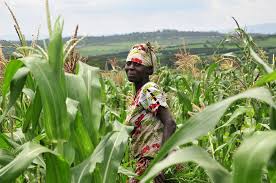 The Need for Agricultural Extension and the Role of Government in Extension Work The Need for Agricultural Extension and the Role of Government in Extension Work