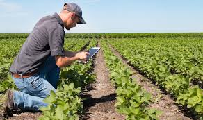 The Need for Agricultural Extension and the Role of Government in Extension Work The Need for Agricultural Extension and the Role of Government in Extension Work