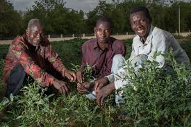 3 Key Principles of Agricultural Extension Explained 3 Key Principles of Agricultural Extension Explained