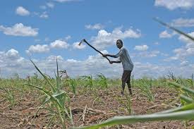 Meaning of Land Tenure and Use Systems