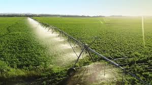 Characteristics of Tropical Cropping Systems