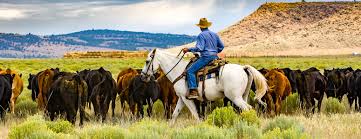 Livestock Management Systems Livestock Management Systems