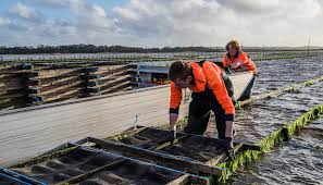 How to Start Your Own Aquaculture Farm