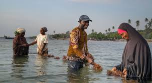 How to Start Your Own Aquaculture Farm How to Start Your Own Aquaculture Farm