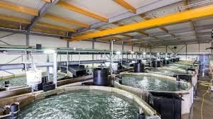 How to Start Your Own Aquaculture Farm How to Start Your Own Aquaculture Farm