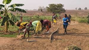 Measures for Improving Nigerian Agriculture Measures for Improving Nigerian Agriculture