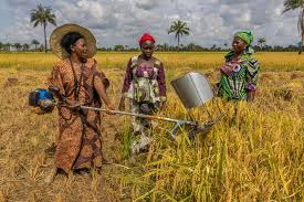 Measures for Improving Nigerian Agriculture Measures for Improving Nigerian Agriculture