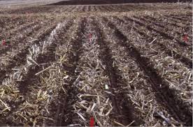 Tillage Practices in Crop Production Tillage Practices in Crop Production