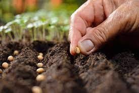 Sowing and Planting Practices Sowing and Planting Practices