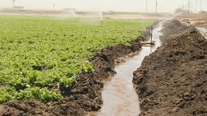 Irrigation and Drainage: Importance, Methods, and Efficiency