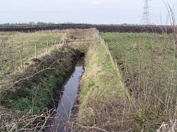 Irrigation and Drainage: Importance, Methods, and Efficiency Irrigation and Drainage: Importance, Methods, and Efficiency
